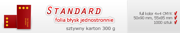 wizytówki standard